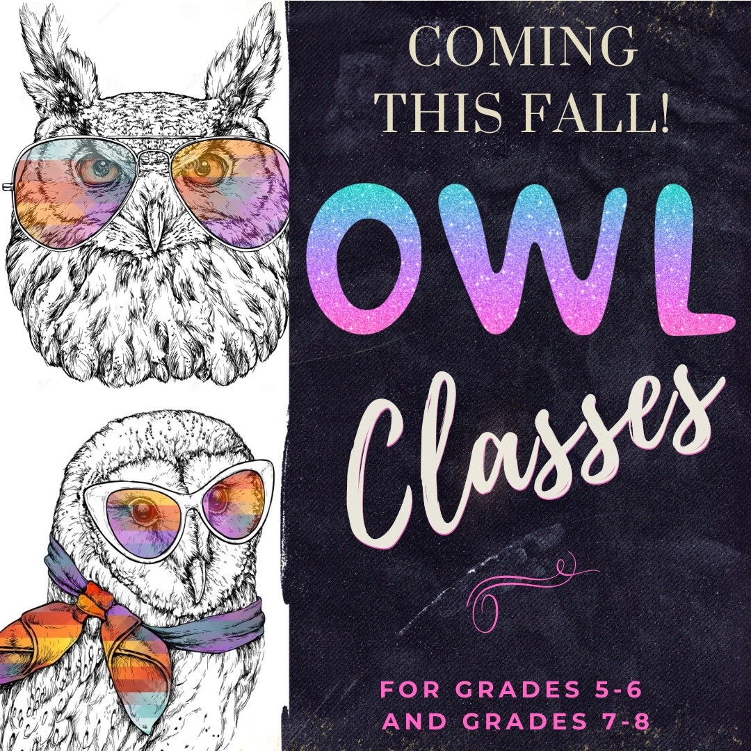 OWL Workshops - Starting Sunday, September 10th