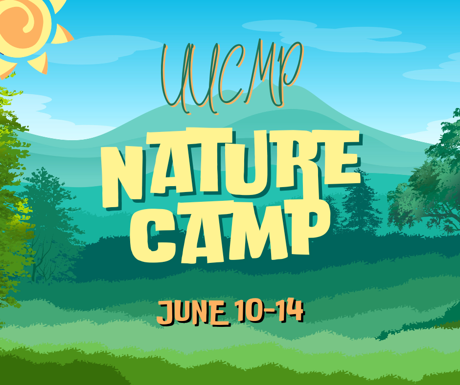 Nature Camp at UUCMP